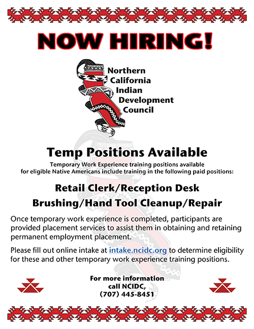 Temporary Work Experience Training Positions NCIDC